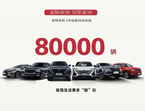 销量快报丨长安汽车累计用户突破1900万,连续5月实现同比增长